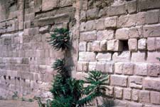 Walls of Jerusalem